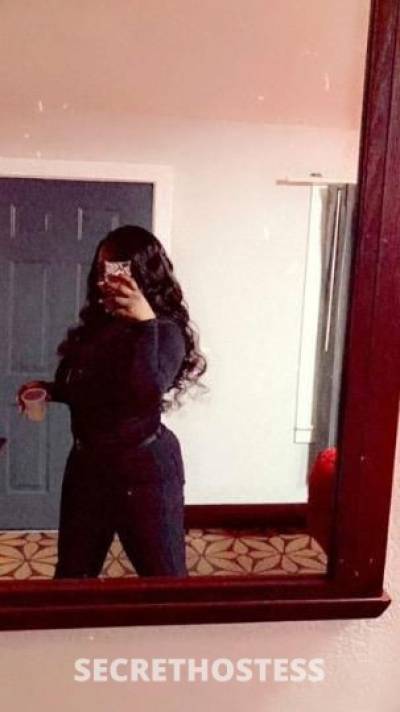 Taige 24Yrs Old Escort Detroit MI Image - 3