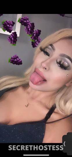 Barbie 20Yrs Old Escort Concord CA Image - 0