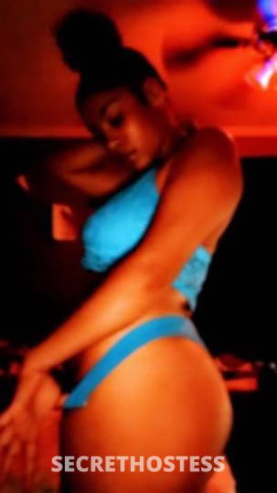 19Yrs Old Escort Miami FL Image - 0