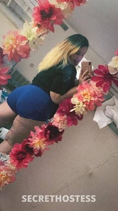 Pretty Latina BBW INCALLS ONLY TWO GIRL SPECIAL AVAILABLE in Louisville KY