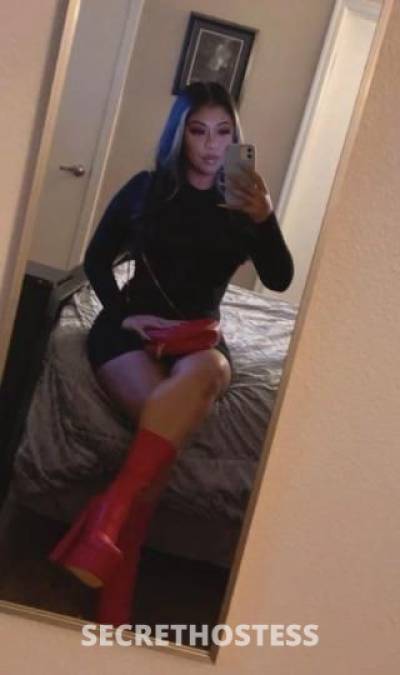 27Yrs Old Escort North Bay CA Image - 1