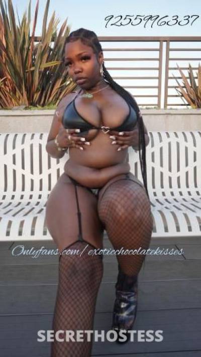 Ashley 24Yrs Old Escort Los Angeles CA Image - 3