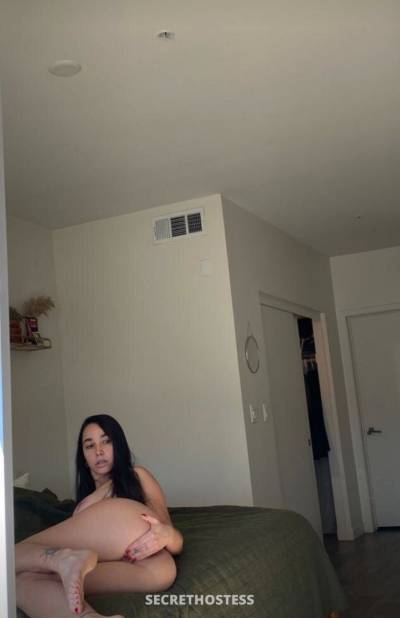 Beatrice 25Yrs Old Escort Size 4 New Jersey NJ Image - 6