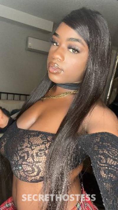 Desire 26Yrs Old Escort San Fernando Valley CA Image - 0