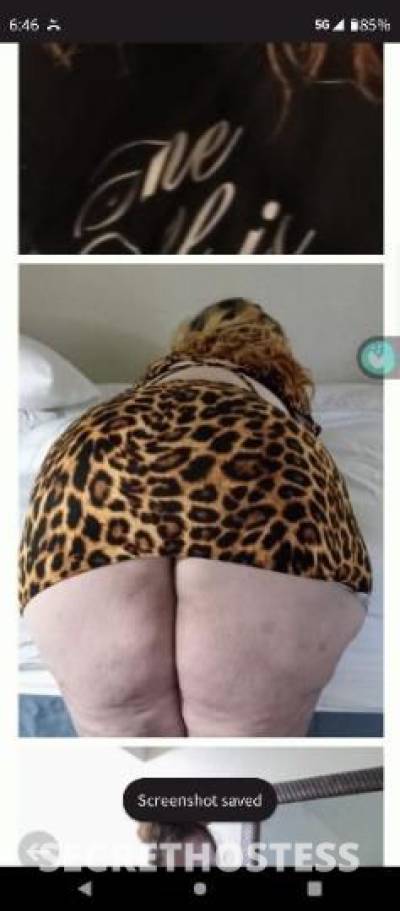 HollyHamdcock 38Yrs Old Escort North Bay CA Image - 0