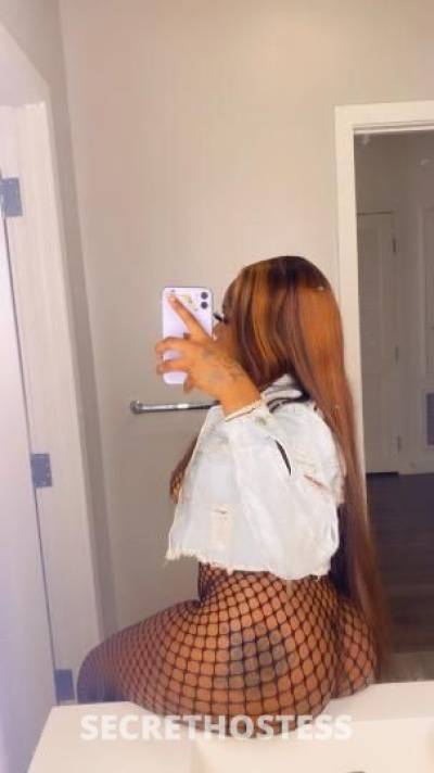 Honey 24Yrs Old Escort Los Angeles CA Image - 3