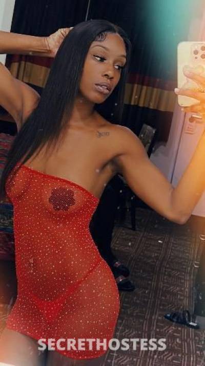 Koko 25Yrs Old Escort Los Angeles CA Image - 2