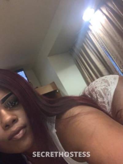 Nicki 23Yrs Old Escort Los Angeles CA Image - 5