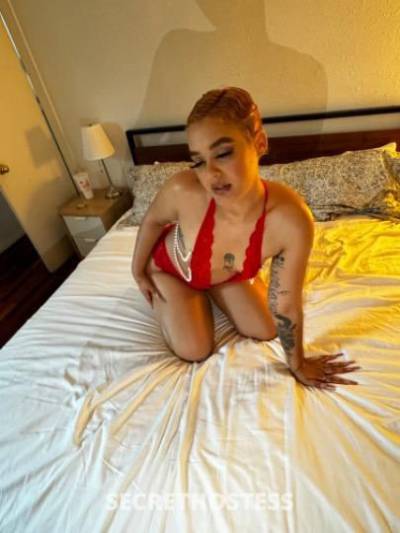 Violet 23Yrs Old Escort Orange County CA Image - 1