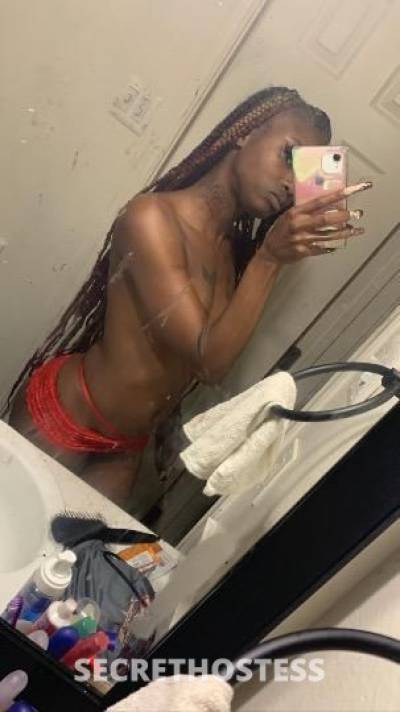 23Yrs Old Escort Dallas TX Image - 2