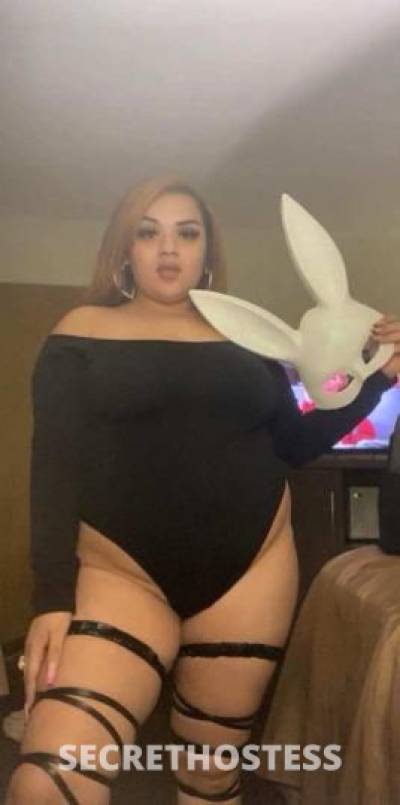 play bunny in town for fun in Carlsbad NM