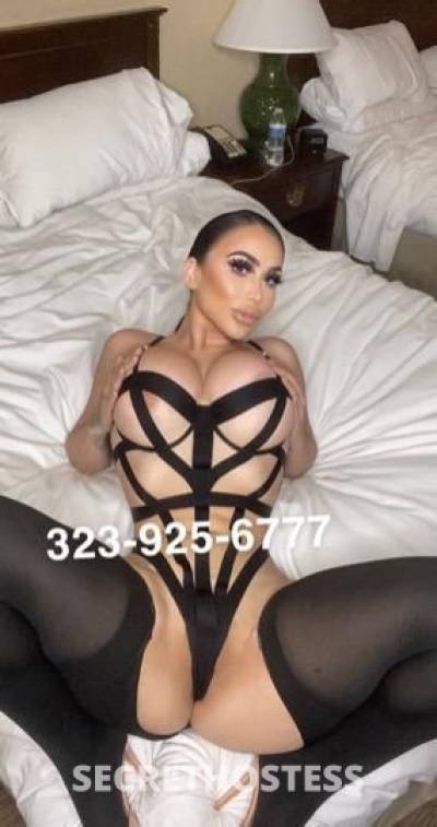 Angelina 22Yrs Old Escort New York City NY Image - 2