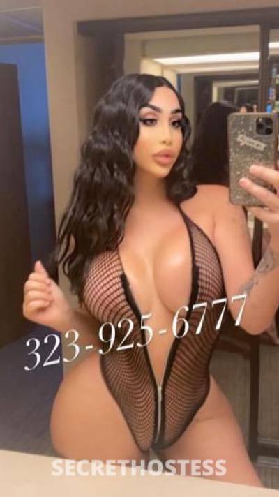 Angelina 22Yrs Old Escort New York City NY Image - 4