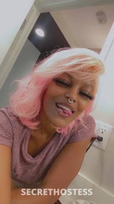 Ari 23Yrs Old Escort Saint Louis MO Image - 0