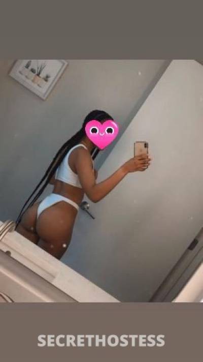 Caramel 24Yrs Old Escort Treasure Coast FL Image - 1