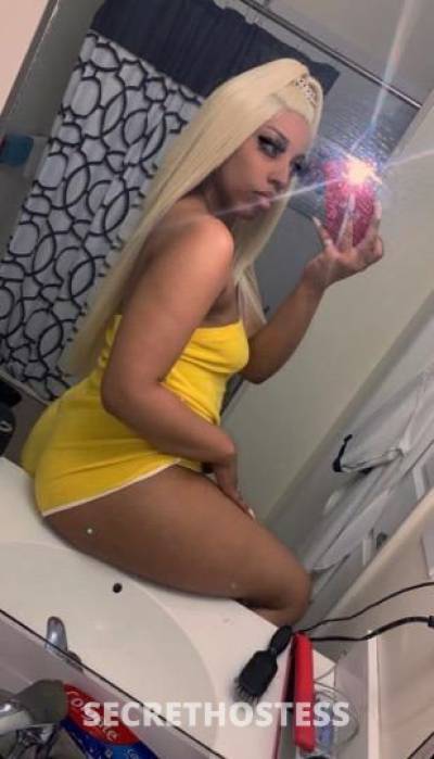 Diamond 24Yrs Old Escort Catskills NY Image - 1