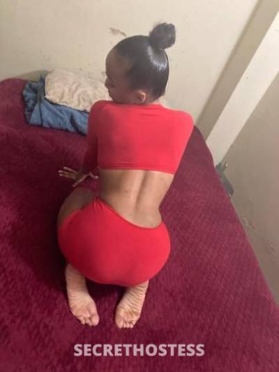 Dream 24Yrs Old Escort Brooklyn NY Image - 3