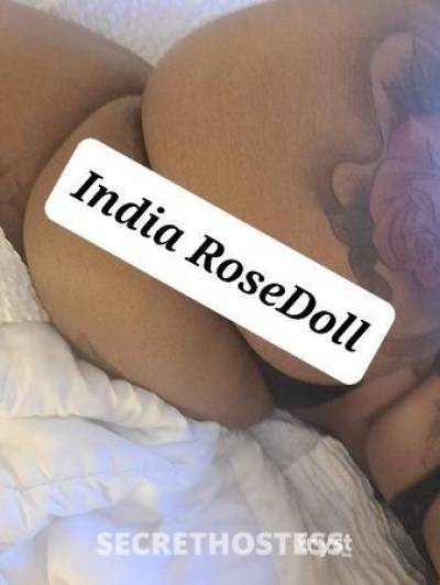 Indiarosedoll 25Yrs Old Escort Brooklyn NY Image - 0