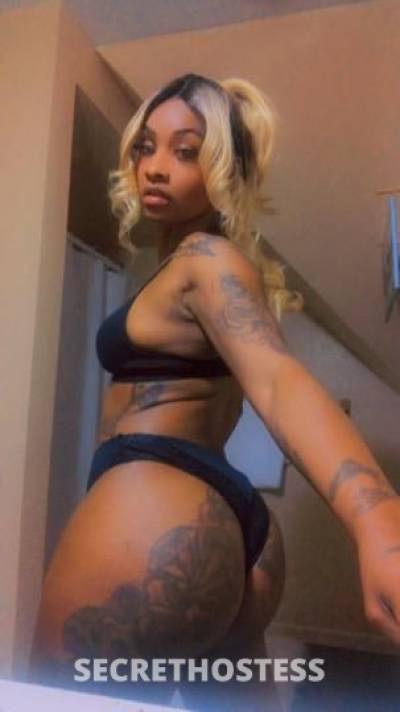 Lacey 31Yrs Old Escort Toledo OH Image - 7