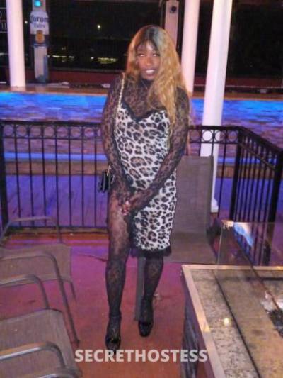 Lee/Venus 26Yrs Old Escort Wilmington DE Image - 1