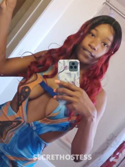 Lee/Venus 26Yrs Old Escort Wilmington DE Image - 4