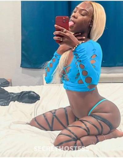 Lex 22Yrs Old Escort Miami FL Image - 1