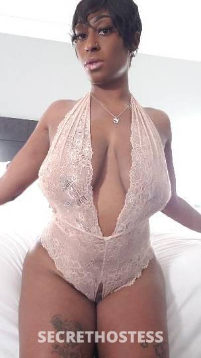 Ms.GAP 28Yrs Old Escort Baton Rouge LA Image - 2