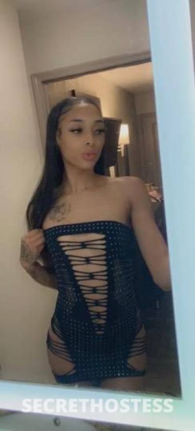 Rosie 21Yrs Old Escort Stockton CA Image - 1