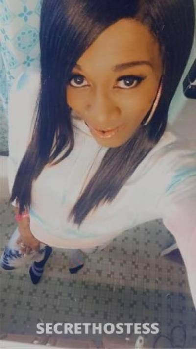 Shai 39Yrs Old Escort Columbus OH Image - 0