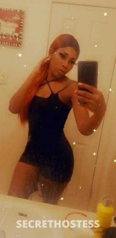 Slymmmm 28Yrs Old Escort Lafayette LA Image - 6