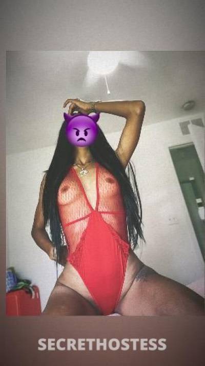 Sofi 21Yrs Old Escort Fort Myers FL Image - 2