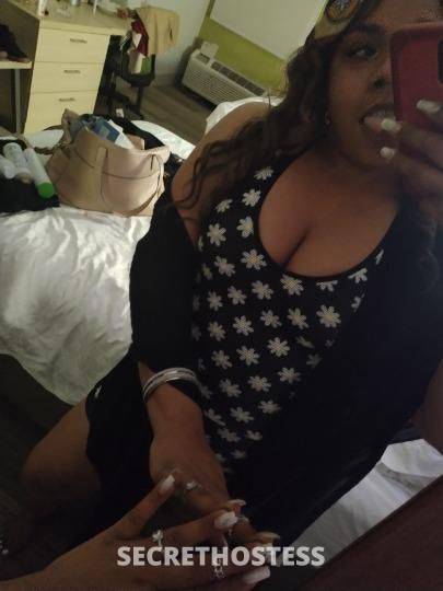 Coco 22Yrs Old Escort Williamsport PA Image - 0