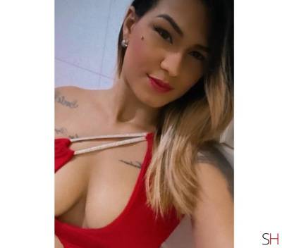 25 Year Old Mestizos Escort Aracati - Image 2