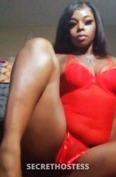 26 year old Escort in Louisville KY Let me FCK YOU