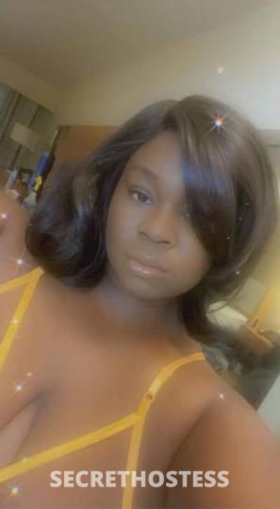 25 year old Escort in Memphis TN $$40 Qv Specials Good Pussy Bbw Stallion Incall Only Horny 