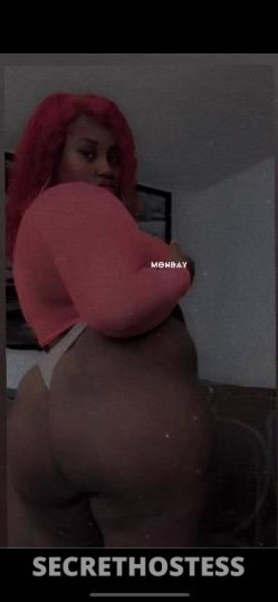 BrownSugar 23Yrs Old Escort Florence Image - 2