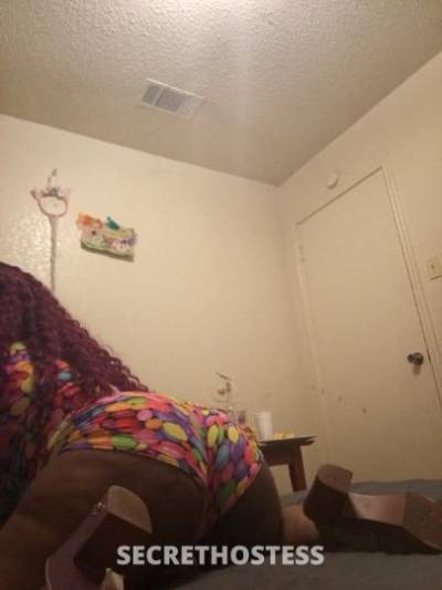 CARAMELSUNDAE 26Yrs Old Escort Killeen TX Image - 0