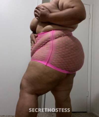 Cece 30Yrs Old Escort Saint Louis MO Image - 3