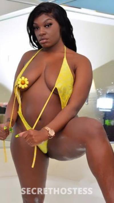 Cherish 29Yrs Old Escort Houston TX Image - 3