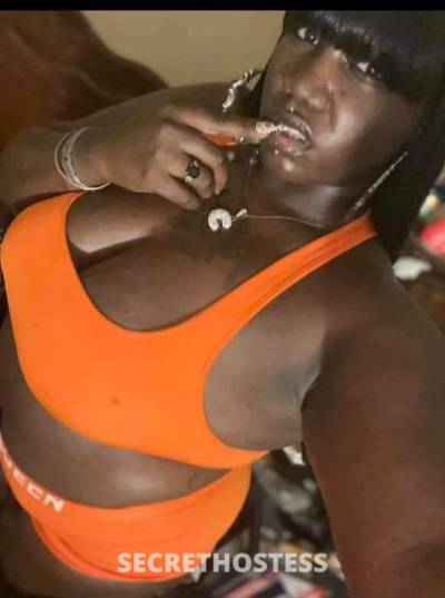 Chocolate 28Yrs Old Escort Baltimore MD Image - 7