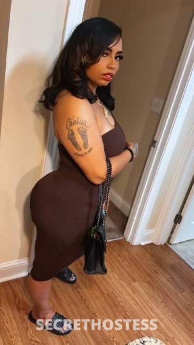 Cookie 26Yrs Old Escort Columbus OH Image - 3