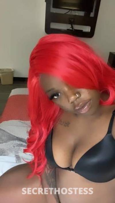 Honey🍯 21Yrs Old Escort Dallas TX Image - 0