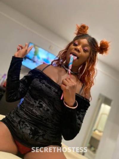 KittyKatt 27Yrs Old Escort Houston TX Image - 4