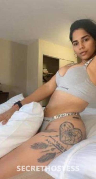 Lexybaby 22Yrs Old Escort Providence RI Image - 4