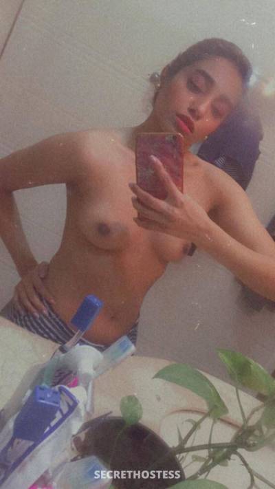 25 Year Old Asian Escort Dallas TX - Image 5