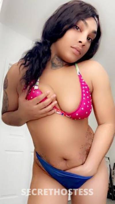 Nova 28Yrs Old Escort Staten Island NY Image - 1