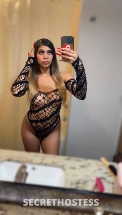 23 Year Old Latino Escort Dallas TX - Image 4