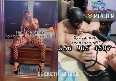 Sylvannah 25Yrs Old Escort McAllen TX Image - 4