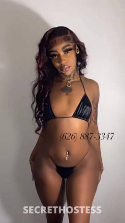 Taylor 22Yrs Old Escort Los Angeles CA Image - 1