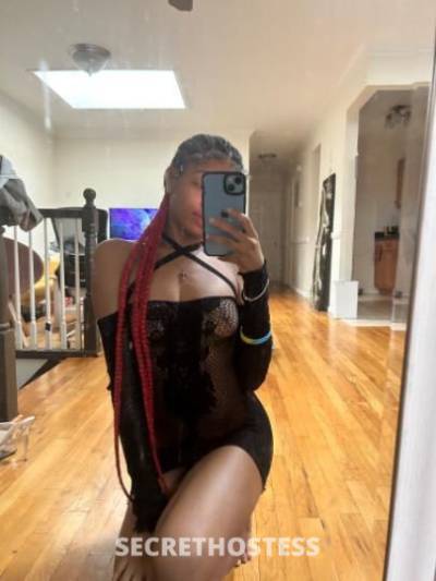 Willow 24Yrs Old Escort Brooklyn NY Image - 1